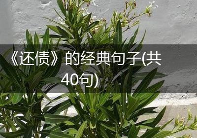 《还债》的经典句子(共40句)