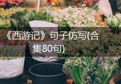 《西游记》句子仿写(合集80句)