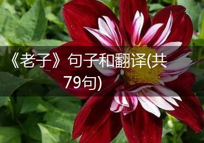 《老子》句子和翻译(共79句)