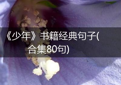 《少年》书籍经典句子(合集80句)