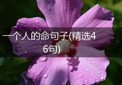 一个人的命句子(精选46句)