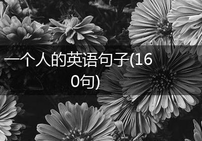 一个人的英语句子(160句)