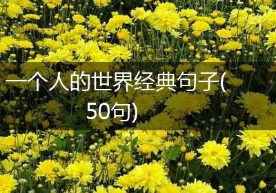 一个人的世界经典句子(50句)