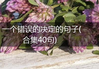 一个错误的决定的句子(合集40句)
