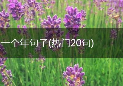一个年句子(热门20句)
