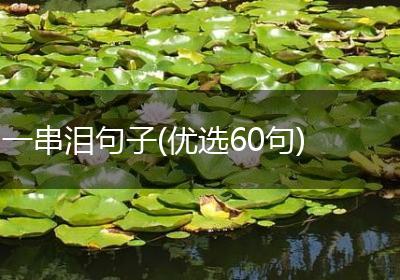 一串泪句子(优选60句)