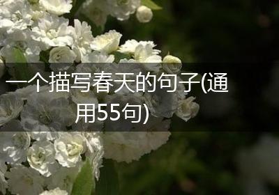 一个描写春天的句子(通用55句)
