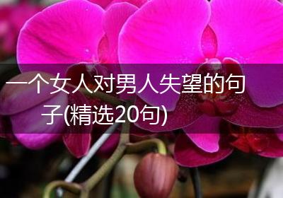 一个女人对男人失望的句子(精选20句)
