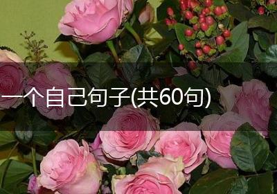 一个自己句子(共60句)
