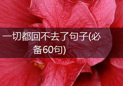 一切都回不去了句子(必备60句)
