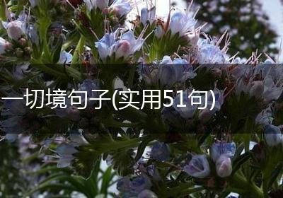 一切境句子(实用51句)