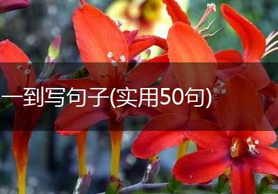 一到写句子(实用50句)