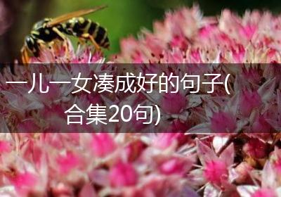 一儿一女凑成好的句子(合集20句)