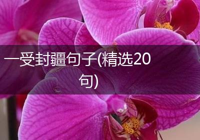 一受封疆句子(精选20句)
