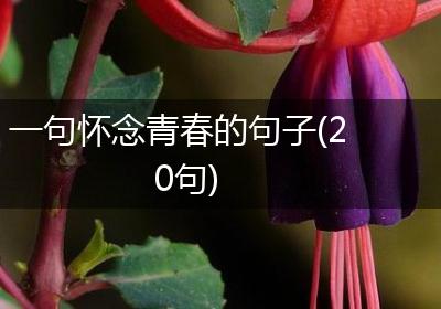 一句怀念青春的句子(20句)