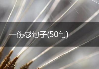 一伤感句子(50句)