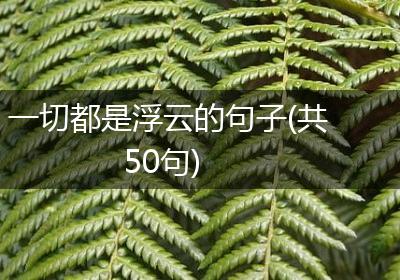 一切都是浮云的句子(共50句)