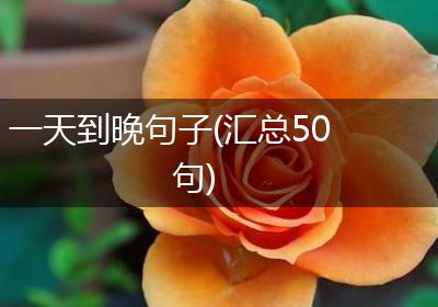 一天到晚句子(汇总50句)
