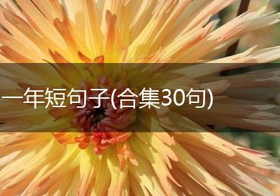 一年短句子(合集30句)