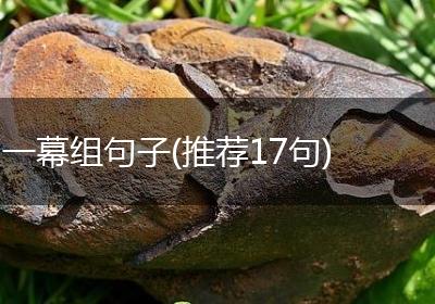 一幕组句子(推荐17句)