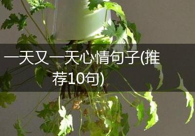 一天又一天心情句子(推荐10句)