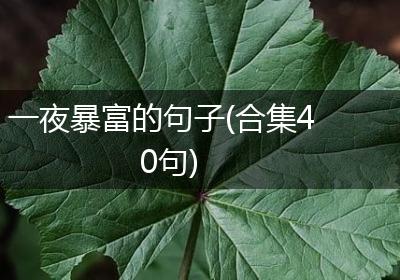 一夜暴富的句子(合集40句)