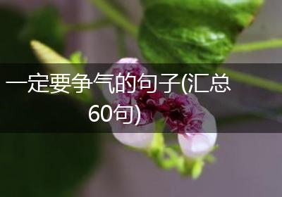 一定要争气的句子(汇总60句)