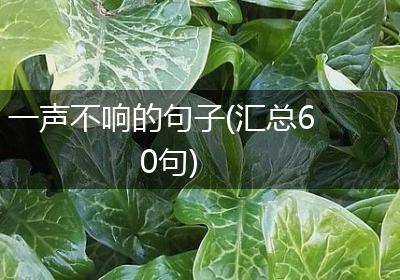 一声不响的句子(汇总60句)