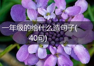 一年级的给什么造句子(40句)