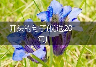 一开头的句子(优选20句)