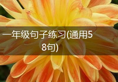 一年级句子练习(通用58句)