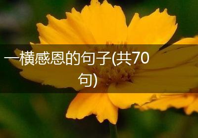 一横感恩的句子(共70句)