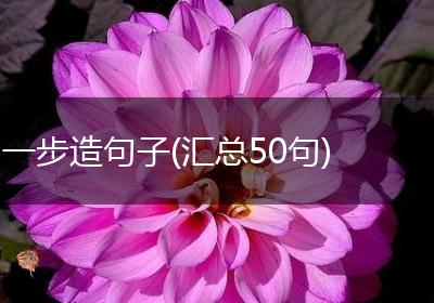 一步造句子(汇总50句)