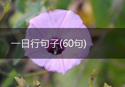 一日行句子(60句)