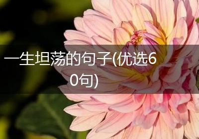 一生坦荡的句子(优选60句)