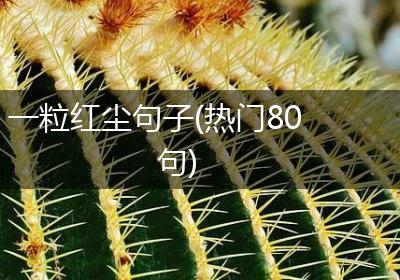 一粒红尘句子(热门80句)