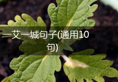 一艾一城句子(通用10句)