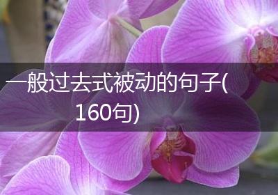 一般过去式被动的句子(160句)