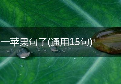 一苹果句子(通用15句)