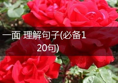 一面 理解句子(必备120句)