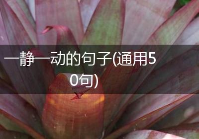 一静一动的句子(通用50句)