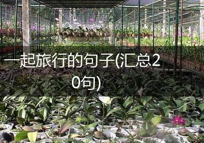 一起旅行的句子(汇总20句)