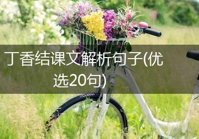 丁香结课文解析句子(优选20句)