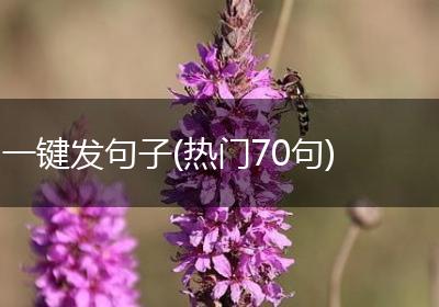 一键发句子(热门70句)