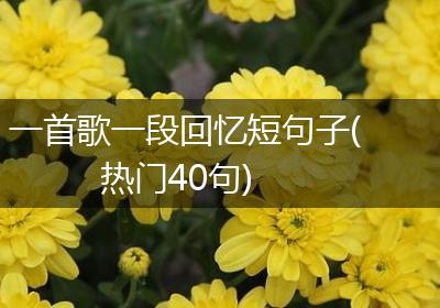 一首歌一段回忆短句子(热门40句)