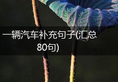 一辆汽车补充句子(汇总80句)
