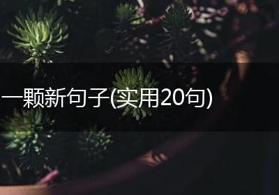一颗新句子(实用20句)
