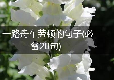 一路舟车劳顿的句子(必备20句)
