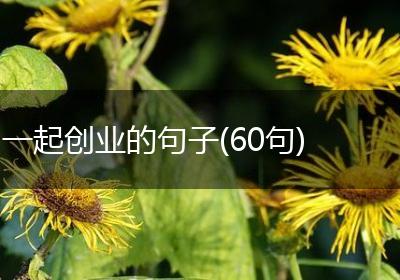 一起创业的句子(60句)