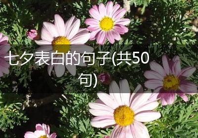七夕表白的句子(共50句)